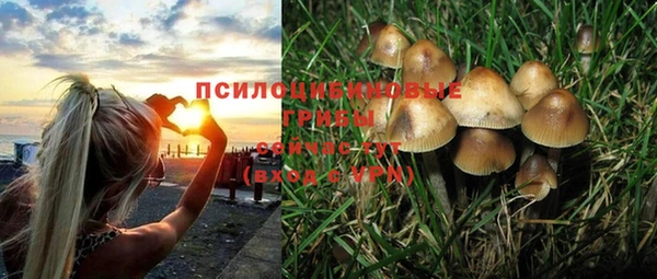 скорость Богородицк